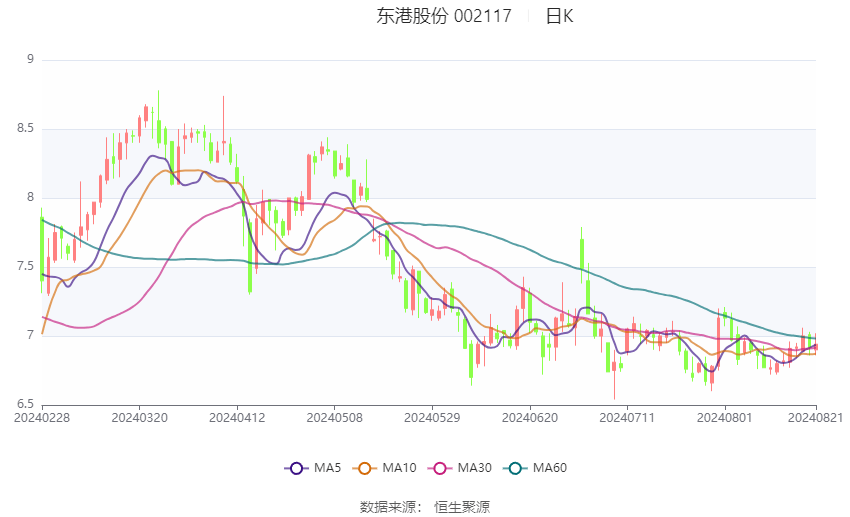 東港股份，引領(lǐng)行業(yè)發(fā)展的先驅(qū)力量，東港股份，引領(lǐng)行業(yè)發(fā)展的先鋒典范