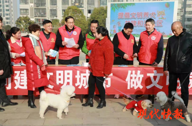 急先鋒澳門六肖，深度解析與探索，澳門六肖急先鋒，深度解析與探索