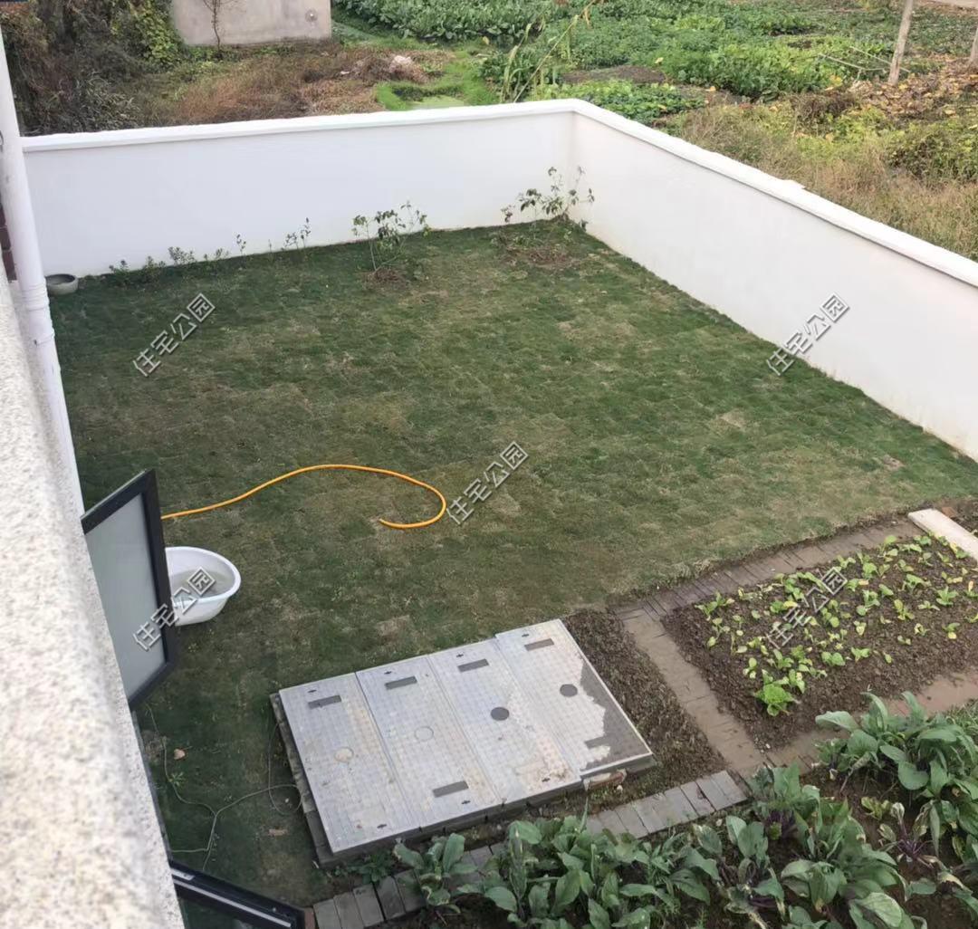 一肖中2碼，揭秘彩票背后的秘密與策略，揭秘彩票背后的策略與秘密，一肖中兩碼解析