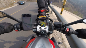 王中王310期指一生肖——揭秘生肖運勢與人生軌跡，揭秘生肖運勢與人生軌跡，王中王310期指一生肖探討返回頂部