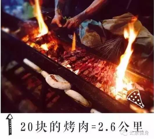 王中王313期指一生肖——揭秘生肖運勢與人生軌跡的獨特聯(lián)系，揭秘生肖運勢與人生軌跡的獨特聯(lián)系，王中王313期指一生肖詳解