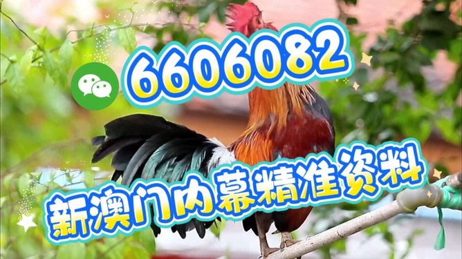 澳門(mén)特馬今天開(kāi)獎(jiǎng)結(jié)果，揭秘彩票背后的秘密，澳門(mén)特馬今天開(kāi)獎(jiǎng)結(jié)果揭秘，彩票背后的秘密大揭曉