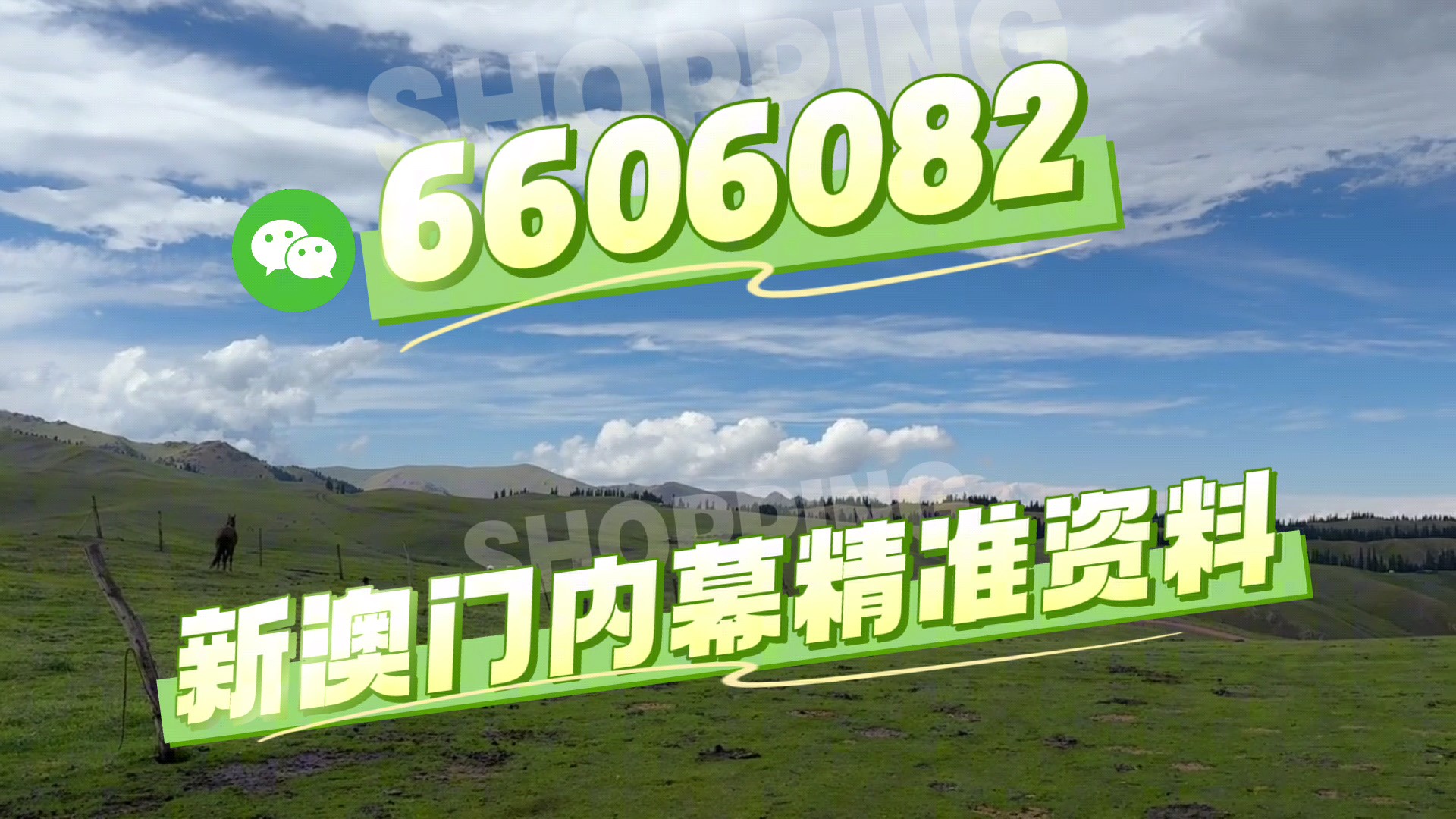 澳門今晚必開一肖一特，揭秘生肖彩票的魅力與策略，澳門生肖彩票揭秘，必開一肖一特的魅力與策略探討