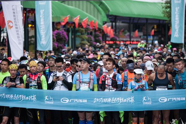 一肖平特王中王，揭秘彩票背后的秘密與策略，揭秘彩票背后的秘密與策略，一肖平特王中王之選