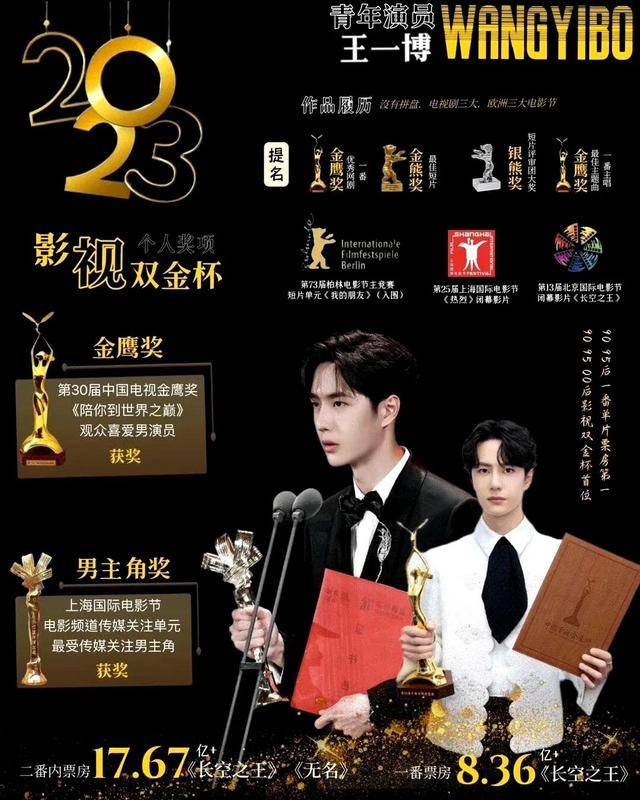 王中王一肖大公開資料，揭秘背后的故事，揭秘王中王一肖的公開資料與背后故事