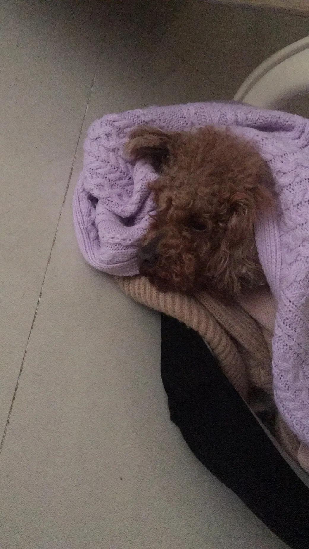 急性腸胃炎如何緩解，有效的應(yīng)對方法，急性腸胃炎緩解攻略，有效應(yīng)對方法大盤點