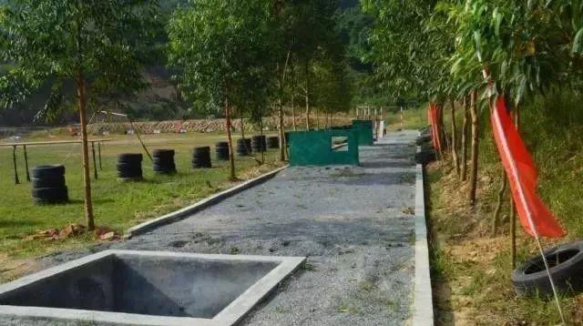 近期國防軍事事件，全球軍事動態(tài)深度解析，全球軍事動態(tài)深度解析，國防軍事事件最新進展與啟示