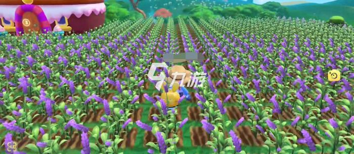 摩爾莊園紫羅蘭種子，種植與優(yōu)化的SEO策略，摩爾莊園紫羅蘭種子種植與SEO策略優(yōu)化指南