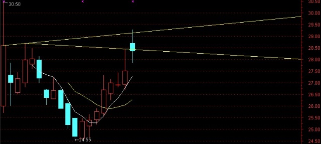 探索神秘的股市密碼，關(guān)于002554股吧的深度解析，深度解析股市密碼，揭秘002554股吧奧秘