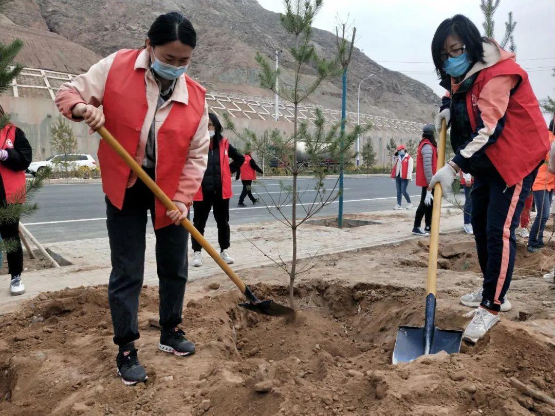 天下彩天天空彩資料免費(fèi)大全管家，探索與解析，天下彩天天空彩資料大全管家，深度探索與解析