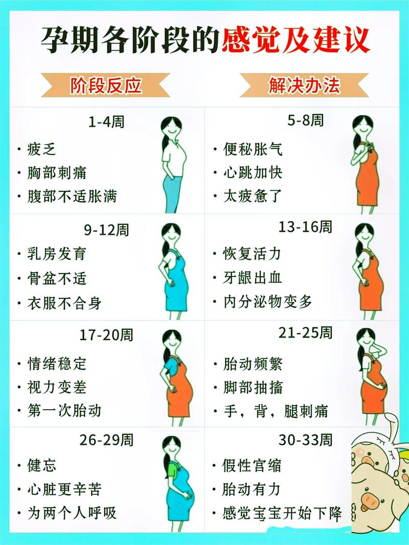 確定懷孕的十大征兆，懷孕征兆詳解，十大跡象揭示好消息