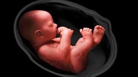 孕婦嚴(yán)重缺鈣的征兆，了解并預(yù)防早期跡象，孕婦嚴(yán)重缺鈣征兆解析，早期預(yù)防與識別關(guān)鍵跡象