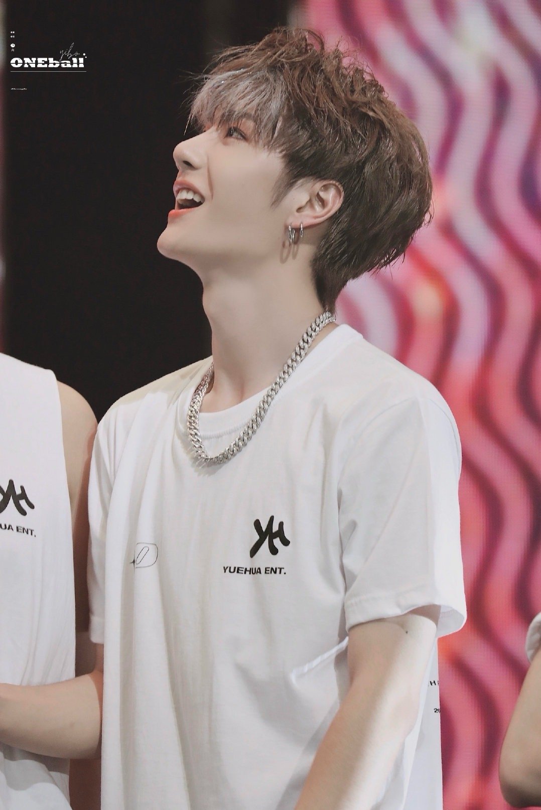 管家婆王中王一肖圖，揭秘背后的故事與神秘魅力，揭秘管家婆王中王一肖圖的神秘面紗與背后故事