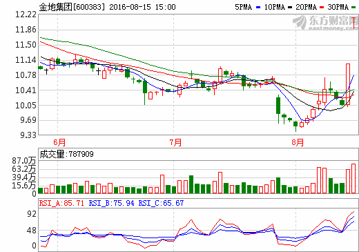 關(guān)于600383的最新消息全面解析，600383最新消息全面解析