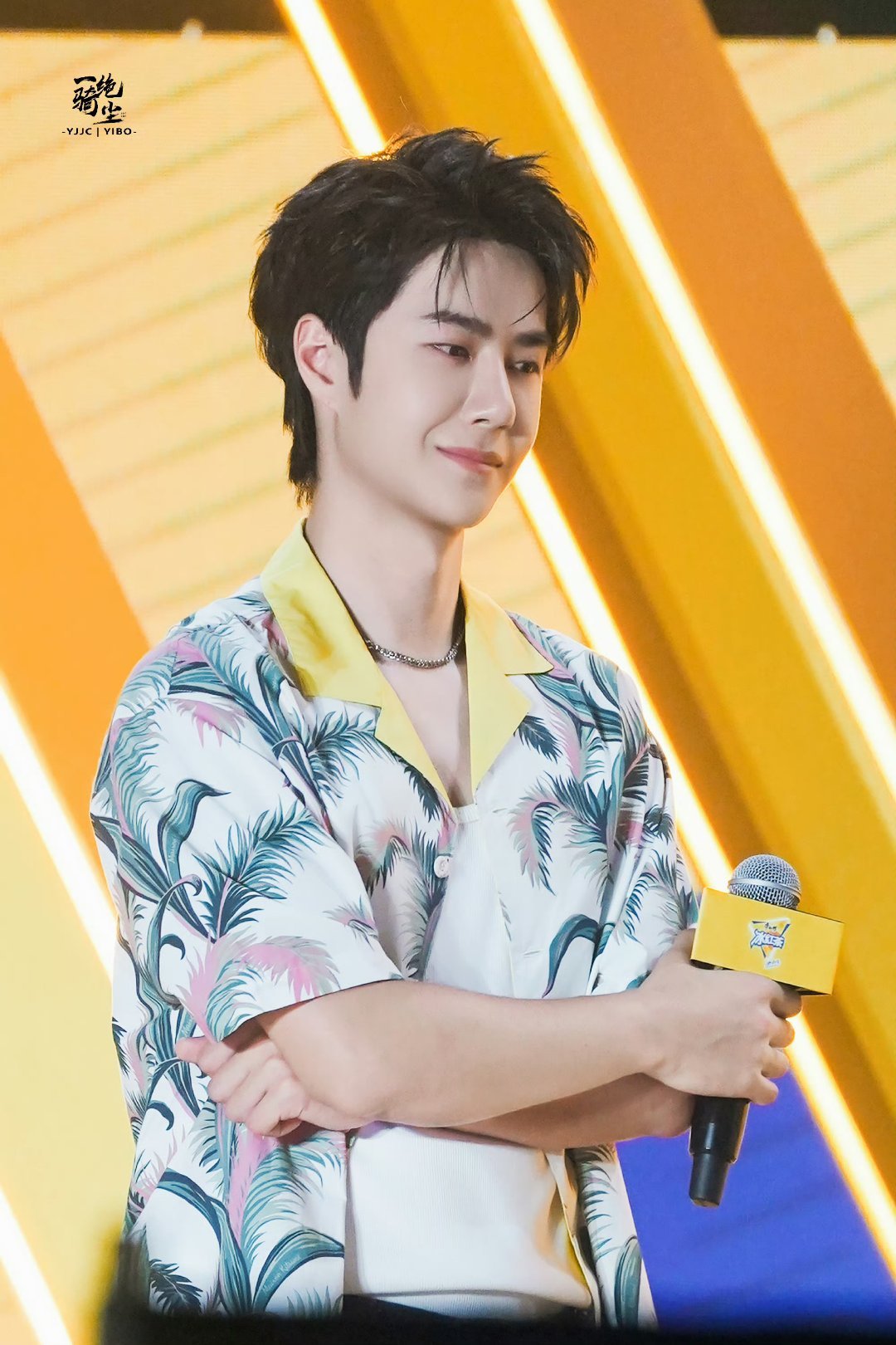 王中王一肖中特家婆，深度解讀背后的故事與奧秘，王中王一肖背后的故事與奧秘深度解讀