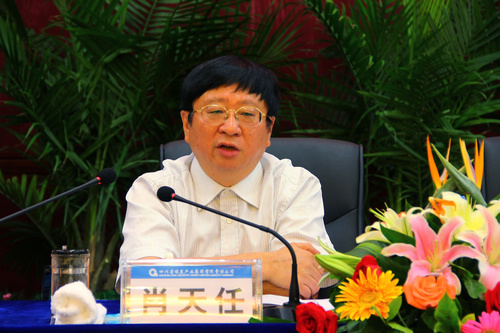 王中王資科一肖中持天，深度解析與SEO優(yōu)化策略，王中王資科一肖中持天深度解析與SEO優(yōu)化策略探討