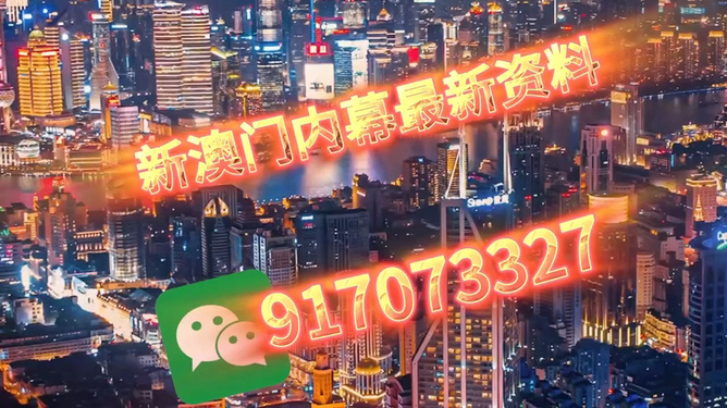 澳門今晚必開一肖——揭秘生肖彩票的魅力與策略，澳門生肖彩票揭秘，策略與魅力探索