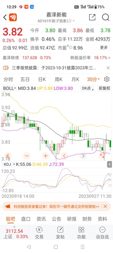 嘉澤新能源股票，投資前景深度解析，嘉澤新能源股票投資前景深度解析