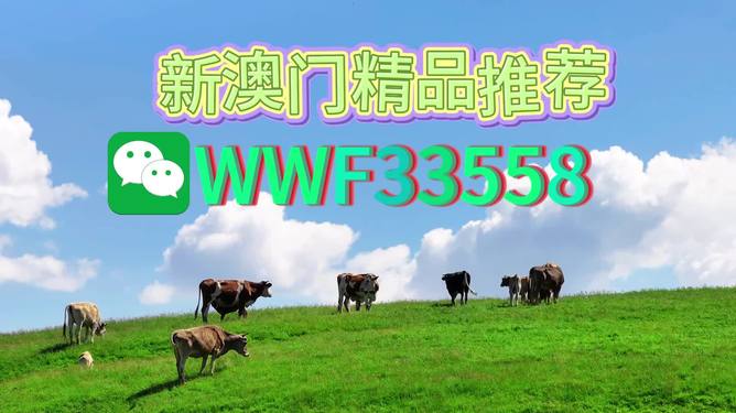 揭秘今晚9點(diǎn)30生肖運(yùn)勢(shì)，你的生肖運(yùn)勢(shì)如何？，揭秘今晚9點(diǎn)30生肖運(yùn)勢(shì)，你的生肖運(yùn)勢(shì)走向如何？