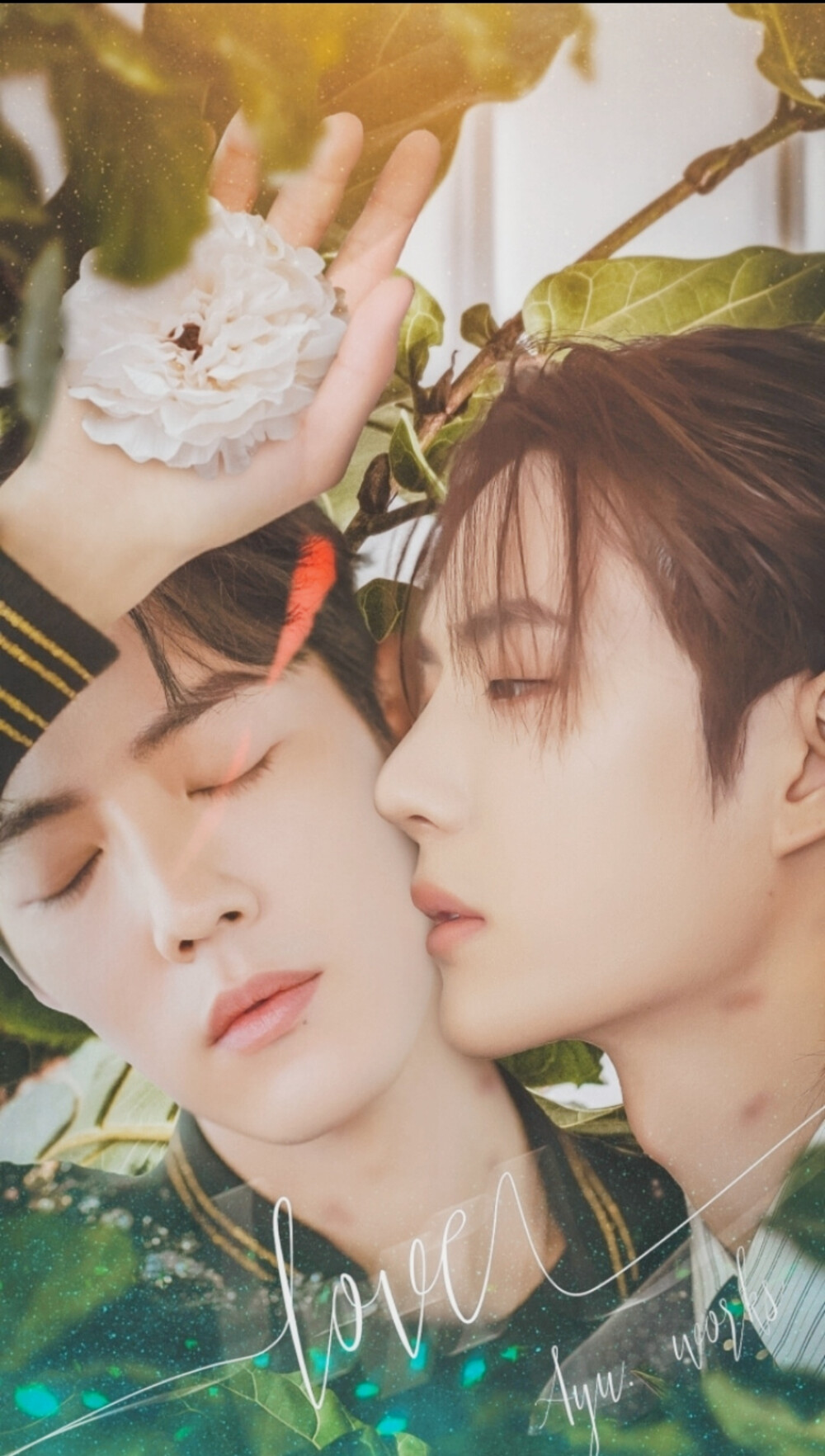 白小姐王中王一肖資料，揭秘背后的故事與神秘面紗，揭秘白小姐王中王一肖背后的故事與神秘面紗