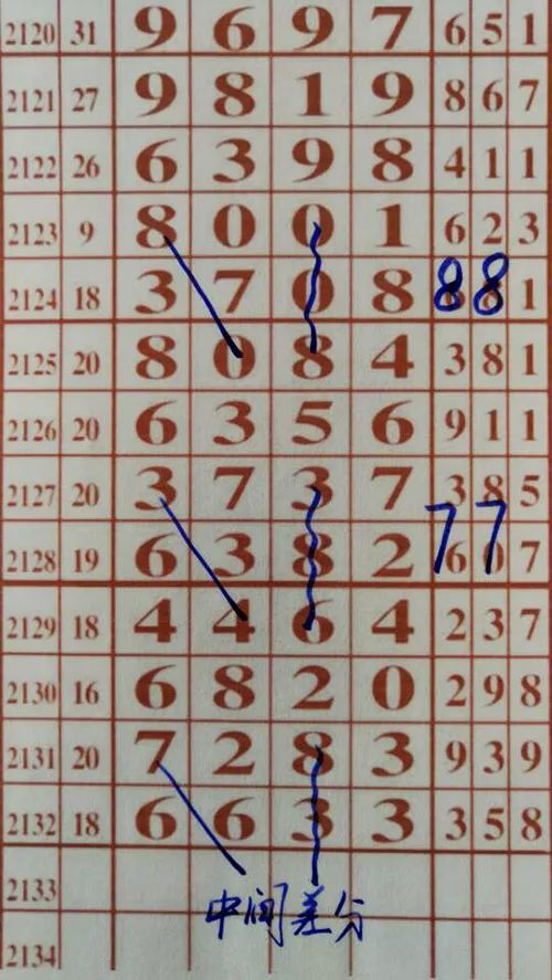 79期王中王三肖一碼，深度解析與SEO優(yōu)化策略，79期王中王三肖一碼深度解析與SEO策略全解析