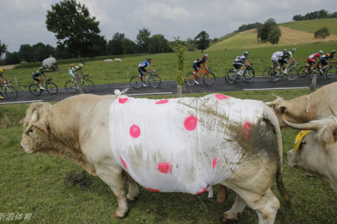 王中王三肖一碼免費公開，揭秘背后的秘密與真相，揭秘王中王三肖一碼，真相與背后的秘密免費公開揭露