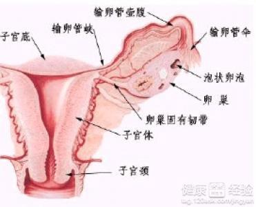 多囊卵巢怎么調(diào)理，全方位的生活與醫(yī)療建議，全方位調(diào)理多囊卵巢，生活與醫(yī)療建議攻略