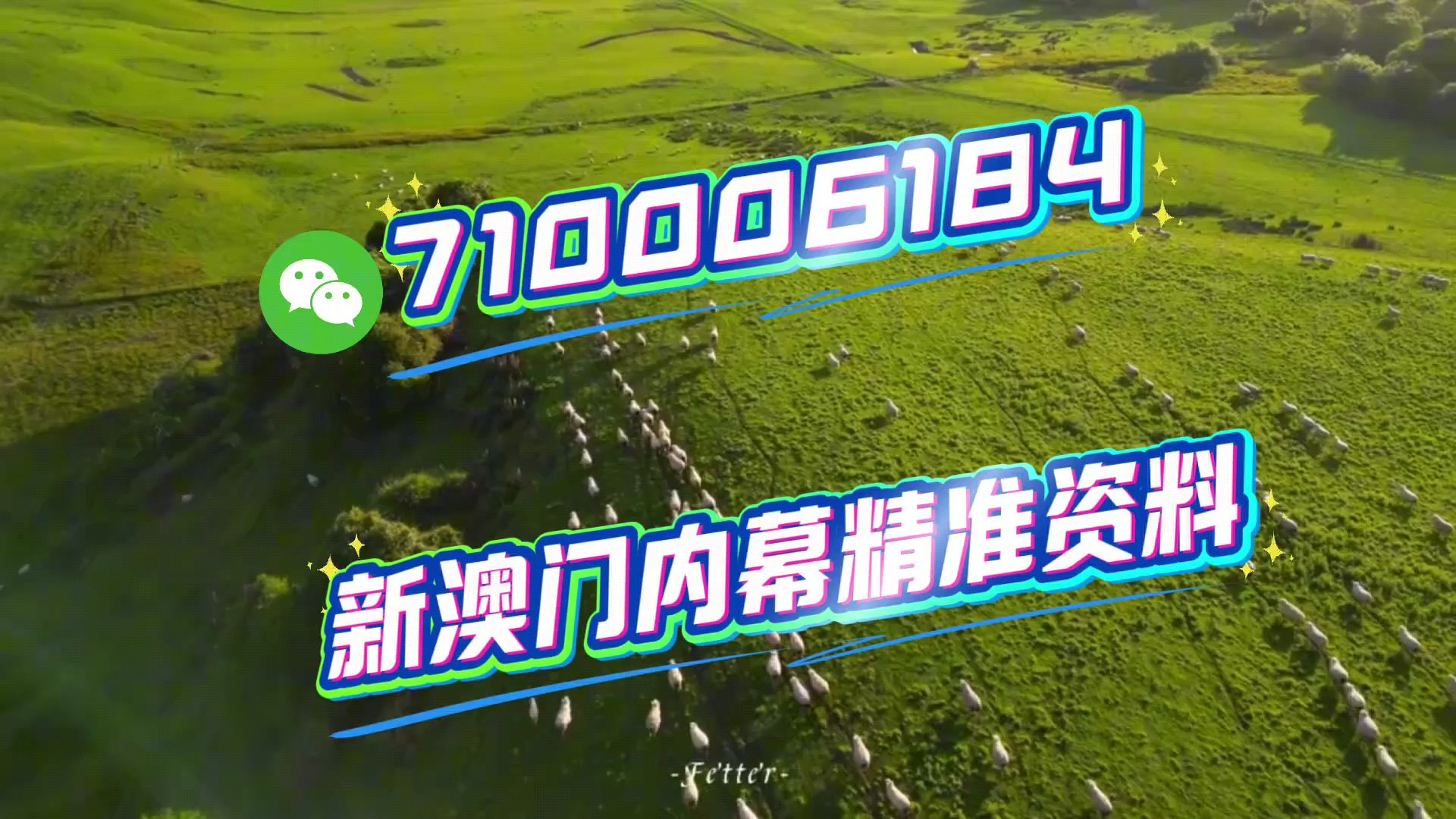 關(guān)于澳門今晚特馬生肖的預(yù)測與探討——以2025年為視角，澳門生肖預(yù)測，以2025年為視角探討今晚特馬生肖預(yù)測