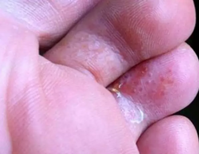 新聞咨詢 第9頁