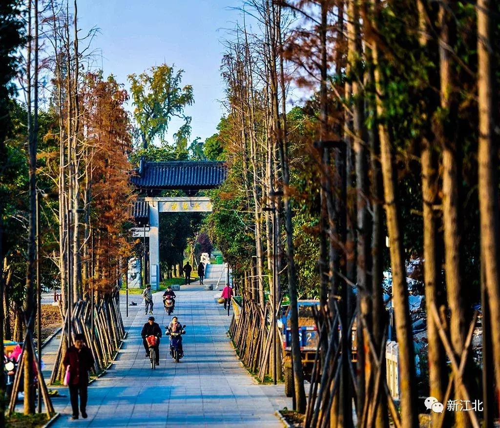 劉伯溫騎馬打一生肖，傳奇故事與生肖運(yùn)勢(shì)解讀，劉伯溫傳奇故事與生肖運(yùn)勢(shì)解讀，騎馬打一生肖的奧秘