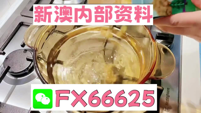 新澳一碼料，深度解析與SEO優(yōu)化策略，新澳一碼料深度解析與SEO優(yōu)化策略指南