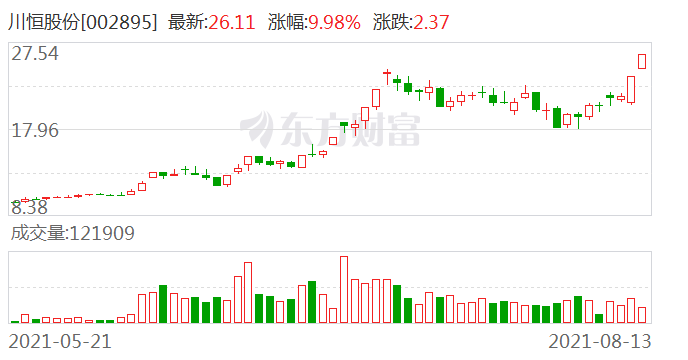 川恒股份股票，深度解析與發(fā)展前景展望，川恒股份股票深度解析與未來展望