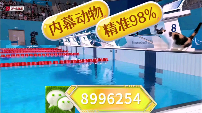 揭秘彩票奧秘，探索澳門王中王彩票期期中的秘密與策略，展望2025年彩票新紀(jì)元，揭秘彩票奧秘，澳門王中王彩票策略與秘密，展望2025彩票新紀(jì)元探索