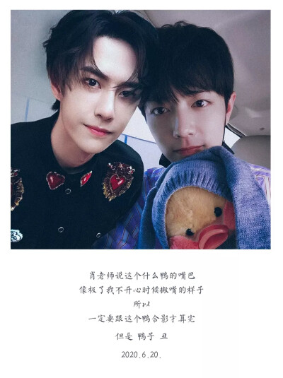 王中王一肖資料一肖王，深度解析與SEO優(yōu)化文章，王中王一肖資料深度解析與SEO優(yōu)化策略探討