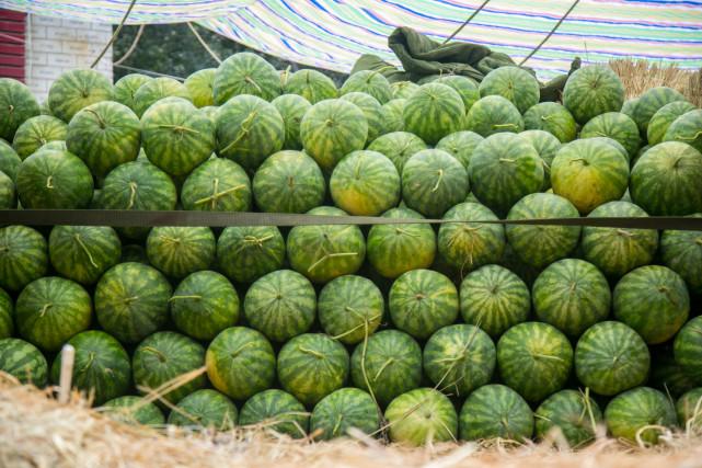 澳門一碼一肖預(yù)測，揭秘真相與風(fēng)險應(yīng)對，澳門一碼一肖預(yù)測揭秘，真相探索與風(fēng)險應(yīng)對策略