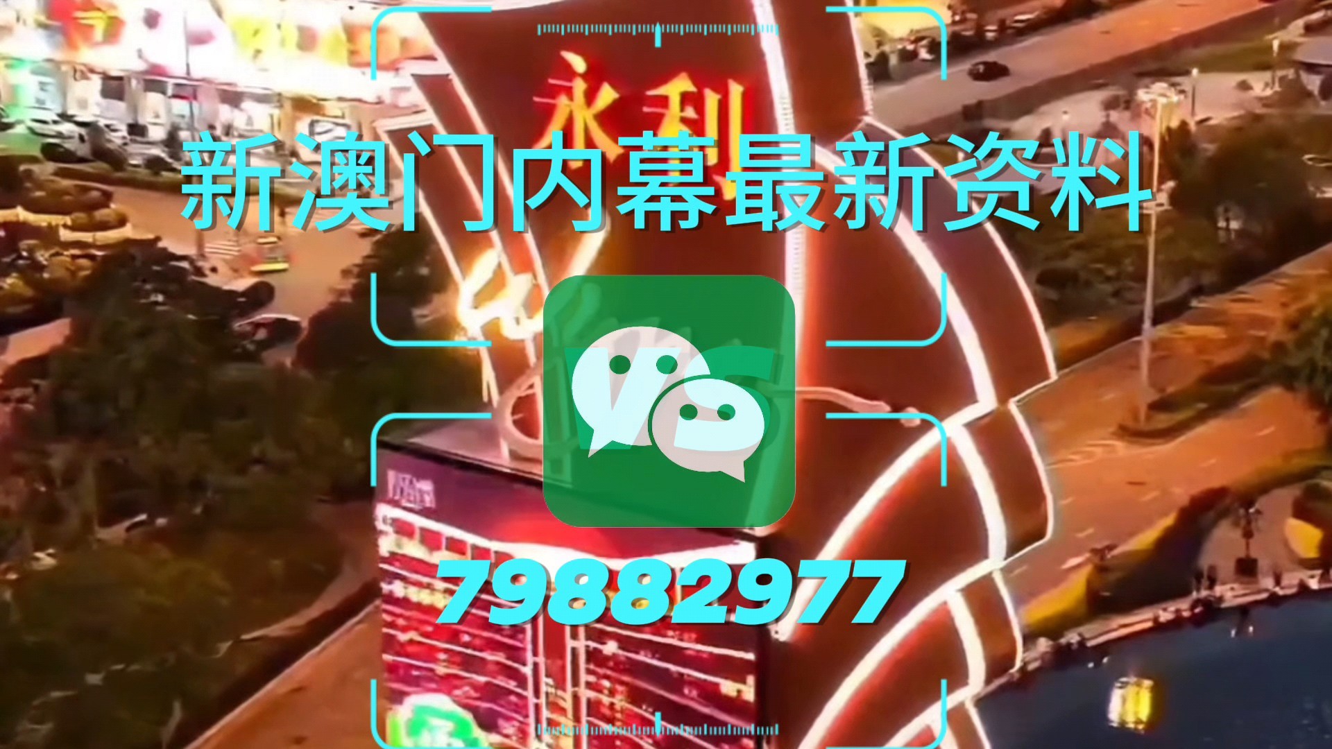 新澳門一肖一特一中，探索與解析，新澳門一肖一特一中，深度探索與解析