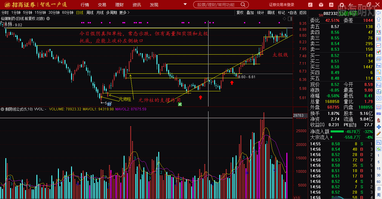 仙琚制藥股票（代碼，002332）深度解析，仙琚制藥股票深度解析（代碼，002332）