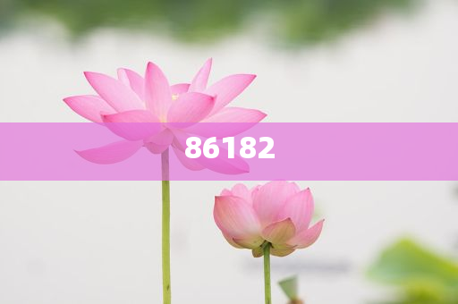 新奧精準免費提供港澳彩——揭秘彩票行業(yè)的秘密武器，揭秘新奧精準免費提供港澳彩的神秘面紗，彩票行業(yè)的秘密武器探究