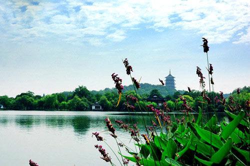 杭州市西湖風景名勝區(qū)的魅力與SEO優(yōu)化策略，西湖風景名勝區(qū)魅力揭秘與SEO優(yōu)化策略探索