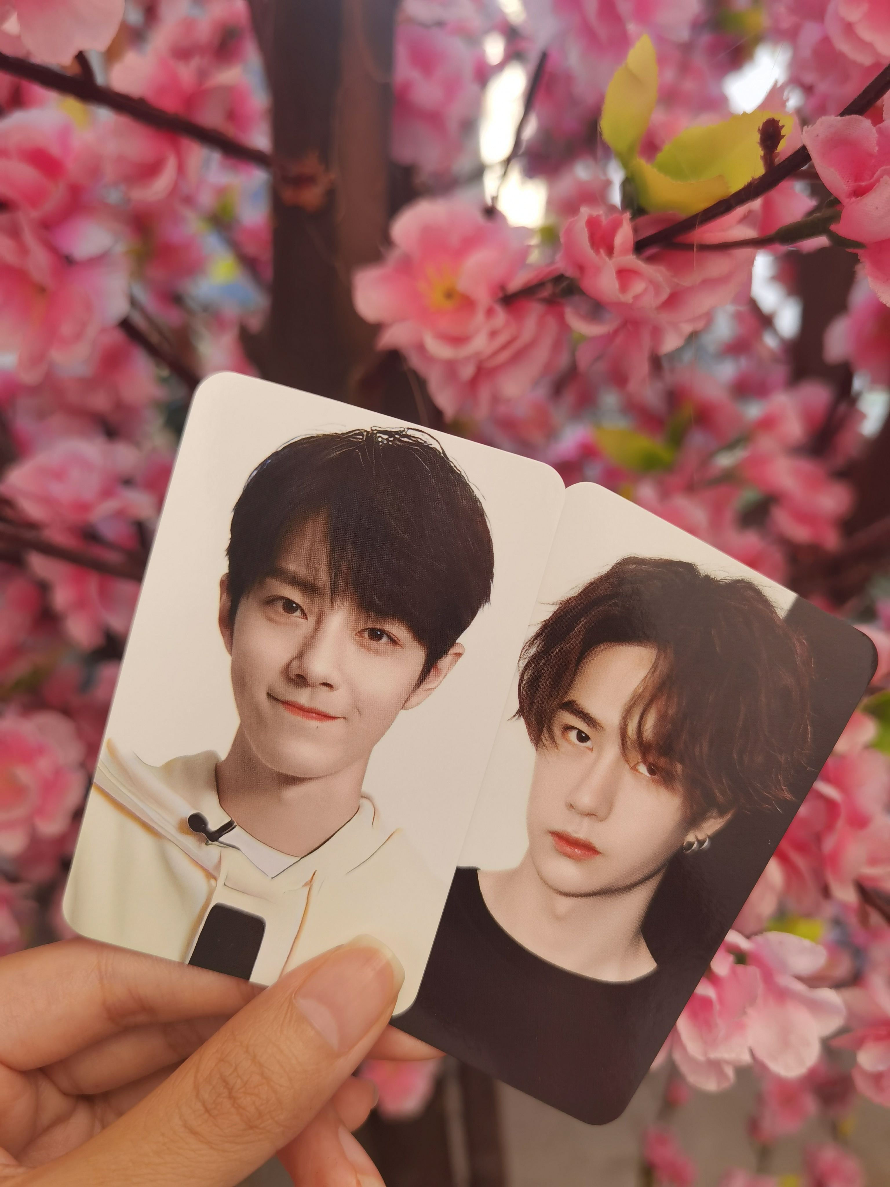 王中王一肖中特一肖精準預(yù)測——揭秘生肖運勢的秘密，揭秘生肖運勢，王中王一肖精準預(yù)測特選生肖運勢秘密