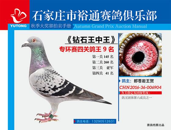 王中王一期一肖特中獎，揭秘彩票背后的秘密與策略，揭秘彩票背后的秘密與策略，王中王一期一肖特中獎解析