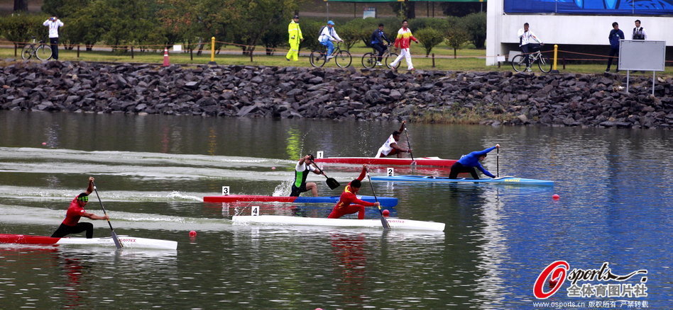 王中王一肖一馬期期中特，深度解析與SEO優(yōu)化策略，王中王一肖一馬期期中特深度解析與SEO優(yōu)化策略指南