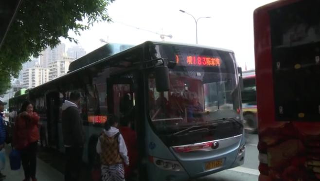 一肖買什么——揭秘最佳選擇與策略，揭秘生肖彩票最佳選擇與策略，一肖買什么？