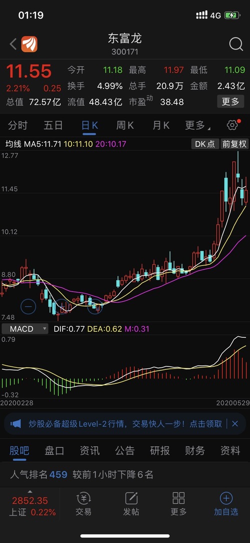 東富龍股票，深度解析與前景展望，東富龍股票深度解析及未來前景展望