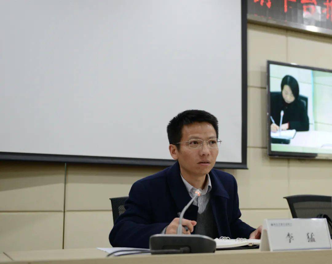 正版王中王一肖平碼圖——深度解析與探索，正版王中王一肖平碼圖深度探索與解析