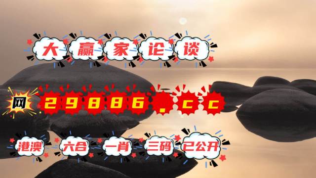 王中王肖一碼資料，揭秘彩票背后的秘密，揭秘彩票背后的秘密，王中王肖一碼資料解析