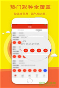 王中王六肖必中一期，揭秘精準預測的秘密，揭秘王中王六肖精準預測一期，揭秘預測成功的秘密