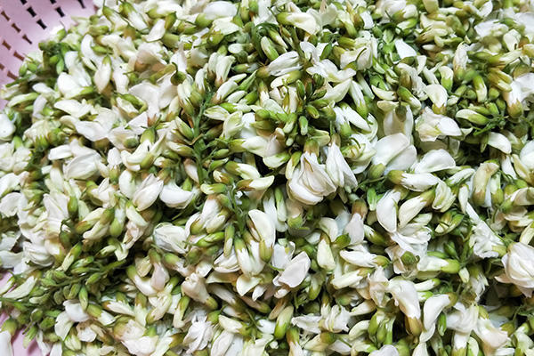 槐花的吃法與做法大全，槐花的吃法與烹飪指南大全