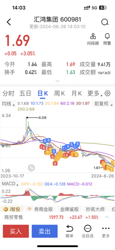 探索匯鴻集團股吧的獨特魅力，深度解析600981股票的價值潛力，匯鴻集團股吧深度探索，解析股票價值潛力與獨特魅力