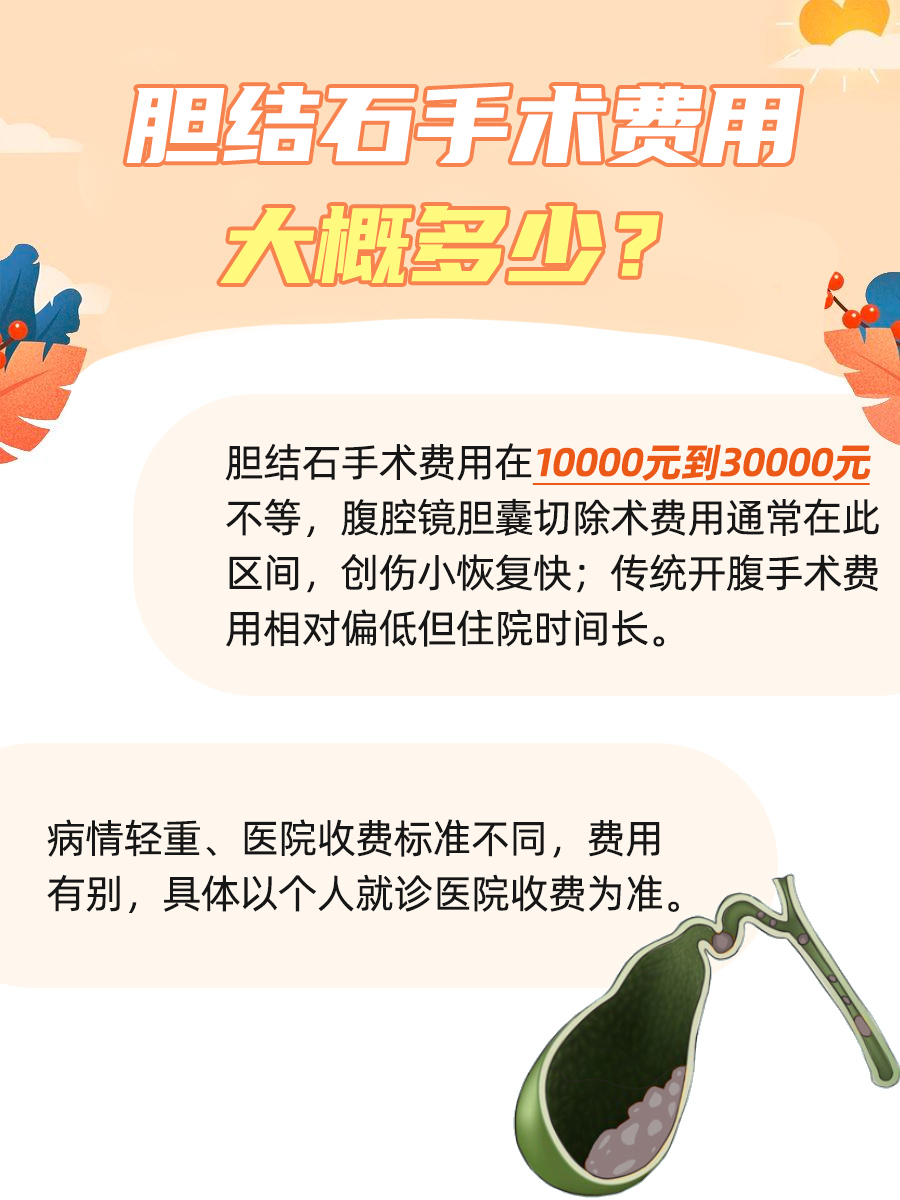 打結石一般多少錢——全面了解結石治療費用，全面了解結石治療費用，打結石一般需要多少錢？